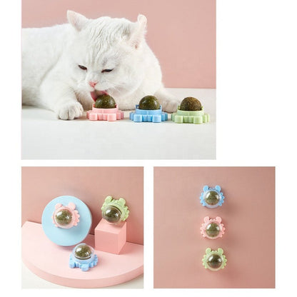 Catnip Lollipop for Cats