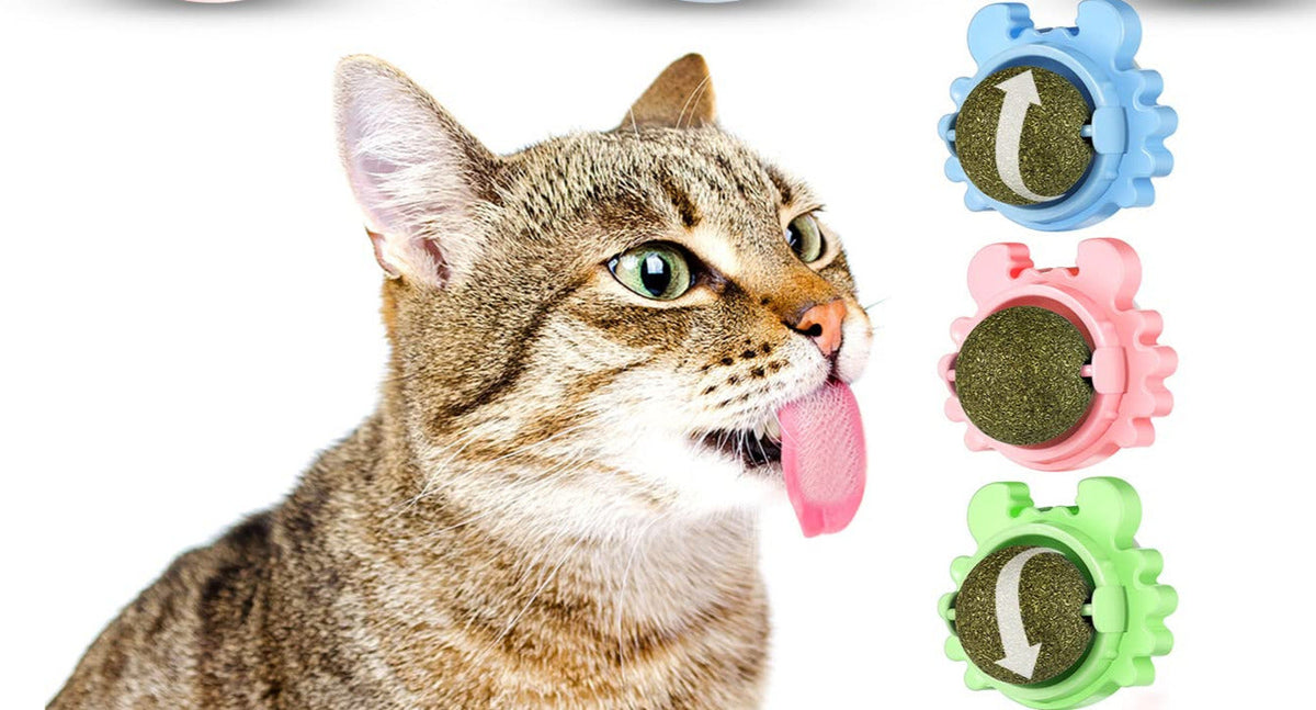 Catnip Lollipop for Cats