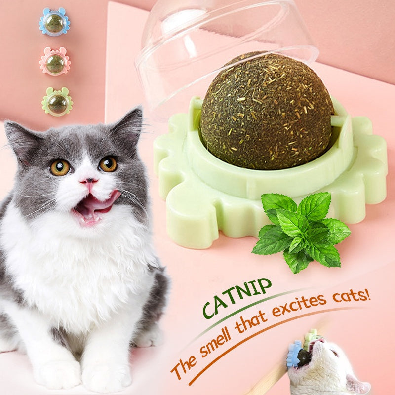 Catnip Lollipop for Cats