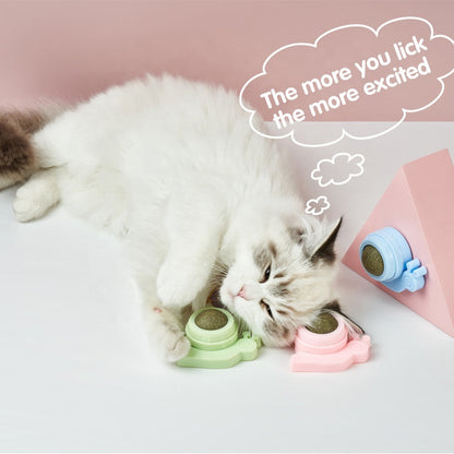 Catnip Lollipop for Cats