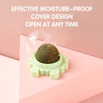 Catnip Lollipop for Cats