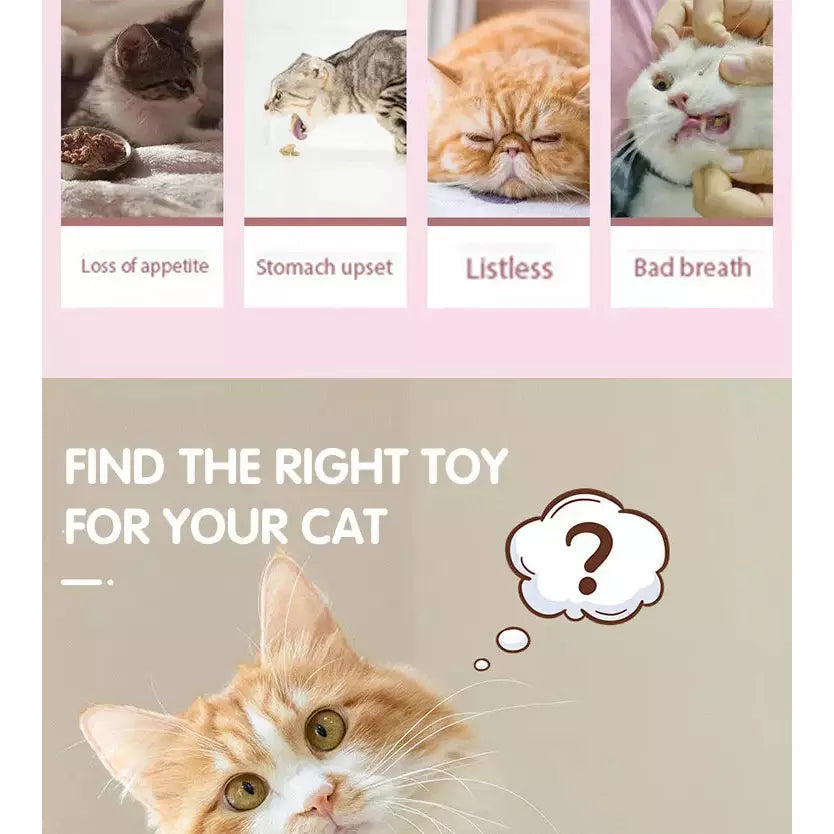 Catnip Lollipop for Cats