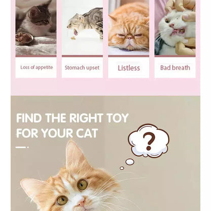 Catnip Lollipop for Cats