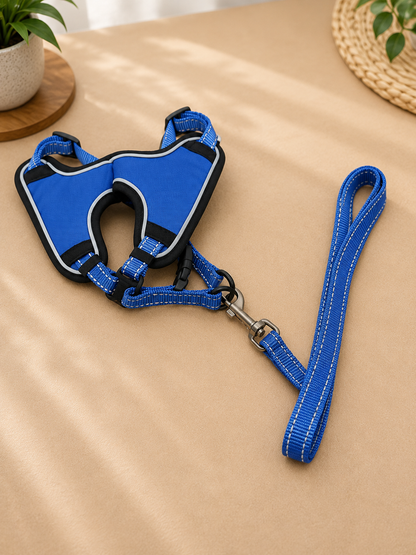 Reflective Soft Mesh Leash & Harness For Adult Cats & Small Puppies