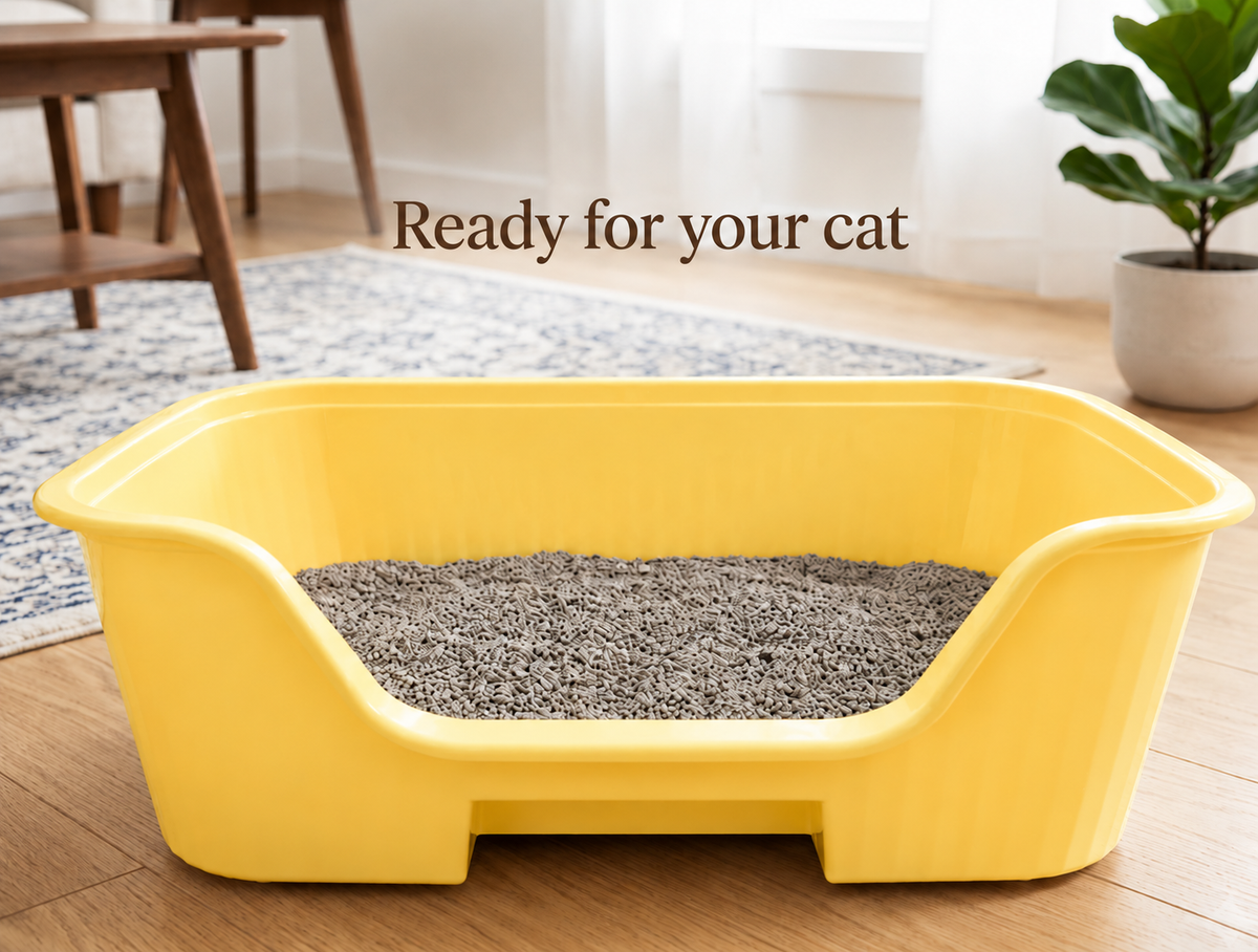 Easy Entry High-Sided Cat Litter Box
