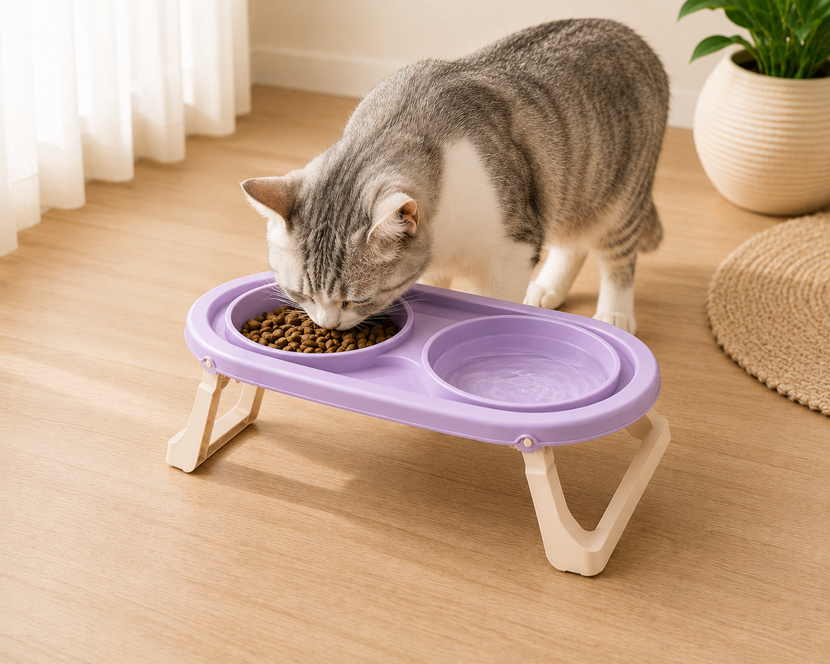 Foldable Elevated Double Pet Bowl