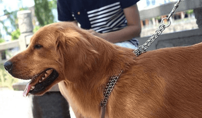 Chrome Plated Double Link Choke Chain Dog Collar