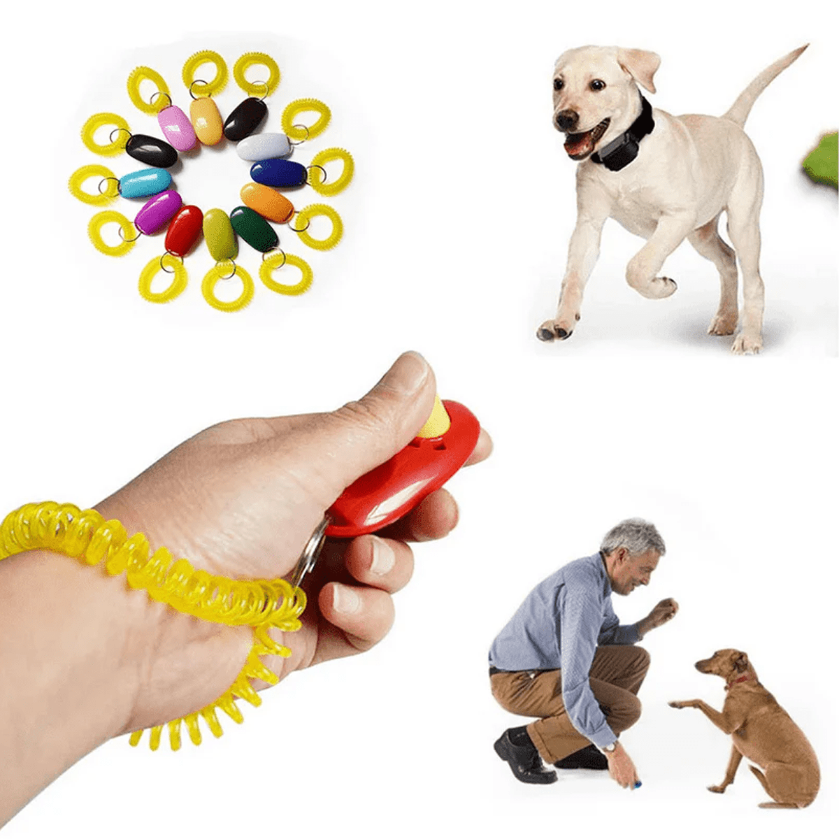 Clicker for Dog and Cat Training