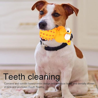 Croci Spiked Dog Toy for Teeth Cleaning & Chewing