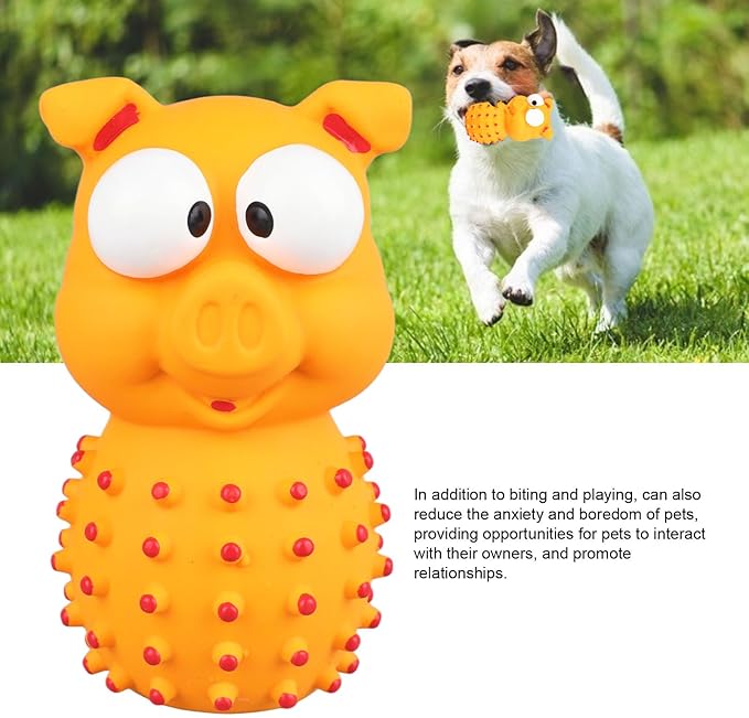 Croci Spiked Dog Toy for Teeth Cleaning & Chewing