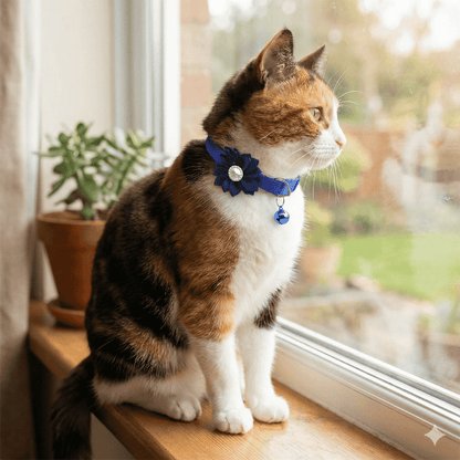 Diamond Flower Collar for Cats