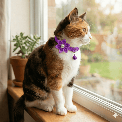 Diamond Flower Collar for Cats