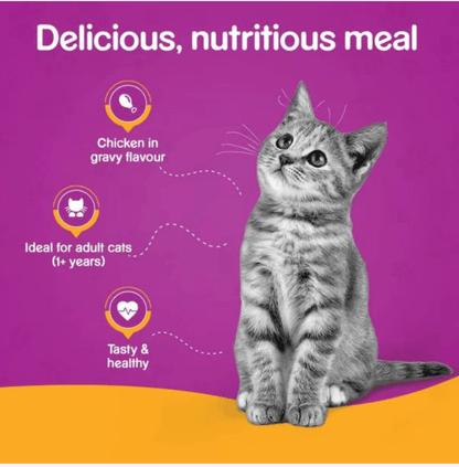 Discount Whiskas Gravy for Cats * 1 85gm Pouch