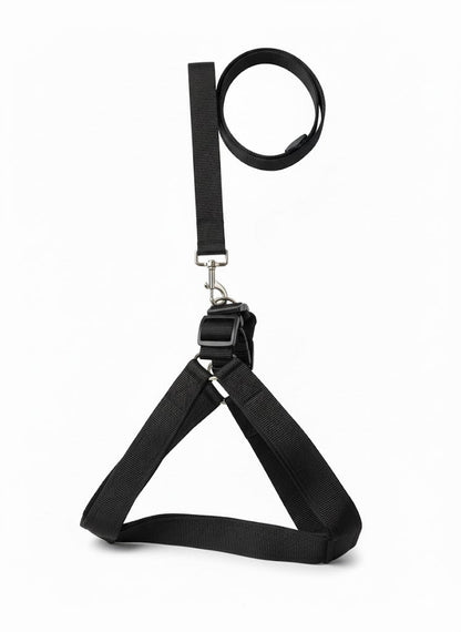 Dog Harness Best Quality