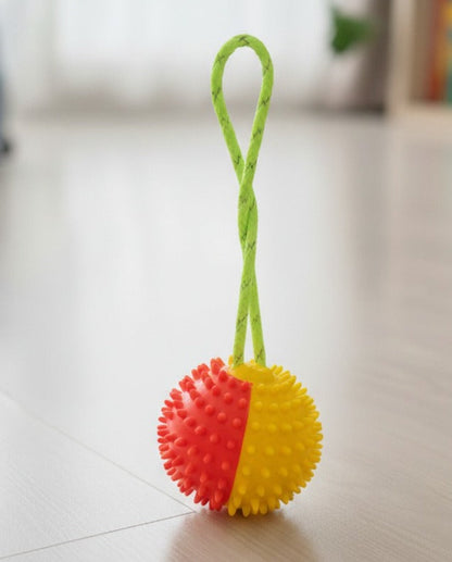 Dog Play Ball with Rope