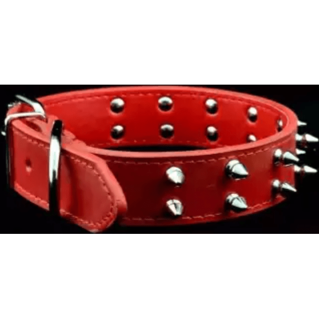 Double Spike Collar