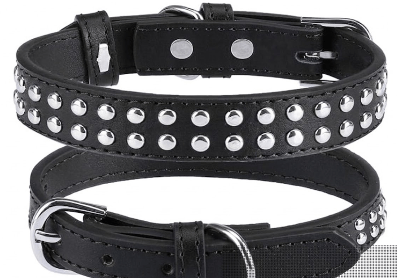 Double Studded Leather Dog Collar With Buckle