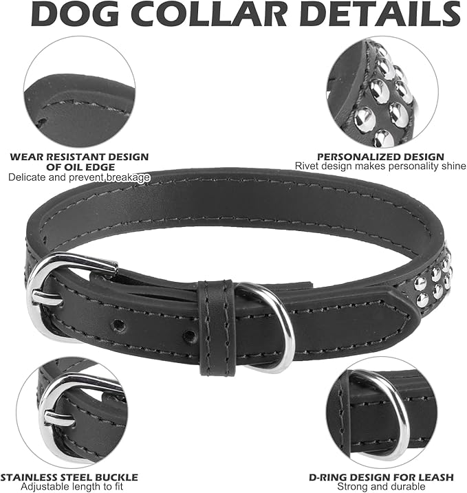 Double Studded Leather Dog Collar With Buckle