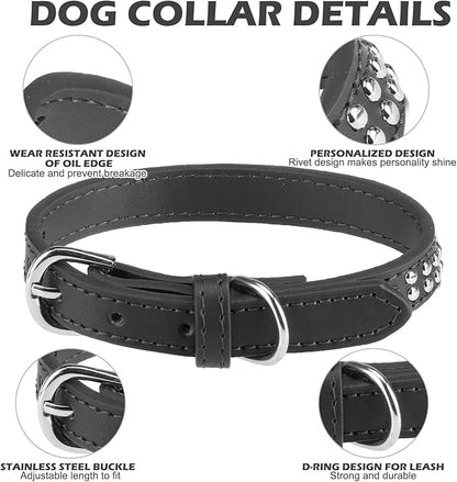 Double Studded Leather Dog Collar With Buckle
