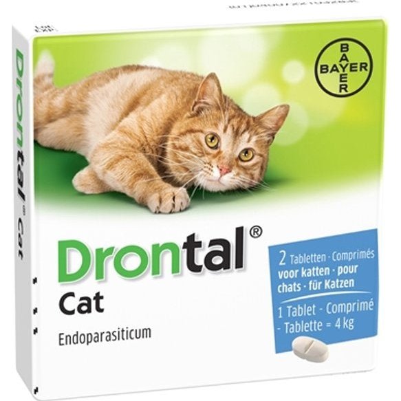 Drontal for Cats (01 Tablet) Deworming Tablet for Cats