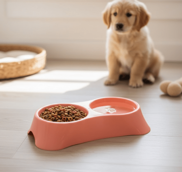 Elegant Double Bowl For Cats & Puppies
