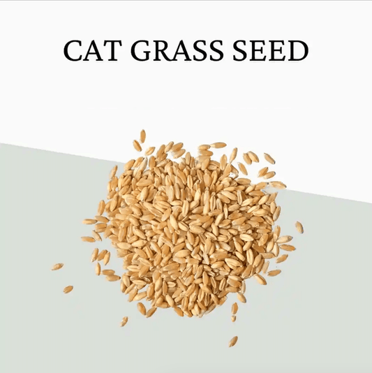 Extra Seeds