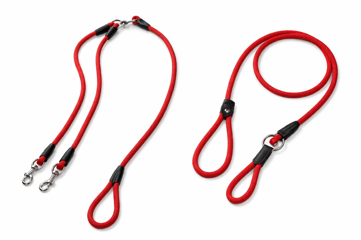 Double Dog Leash for 2 Dogs