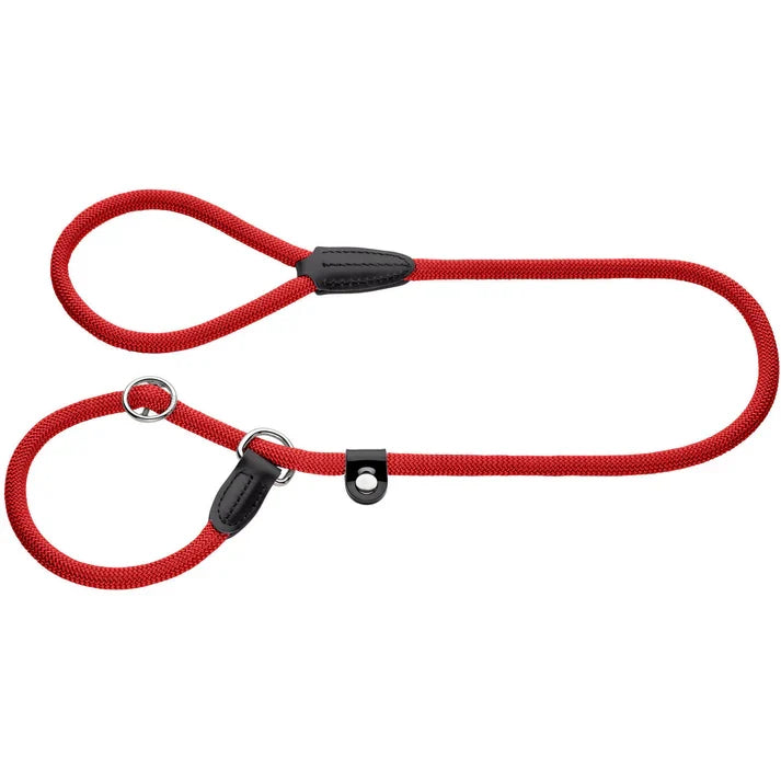Double Dog Leash for 2 Dogs