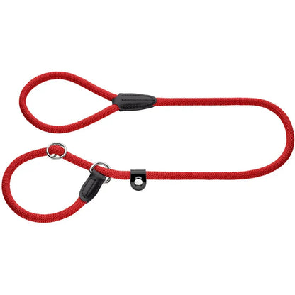 Double Dog Leash for 2 Dogs