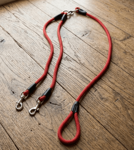 Double Dog Leash for 2 Dogs