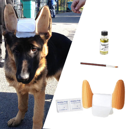 GSD Puppy Ear Support