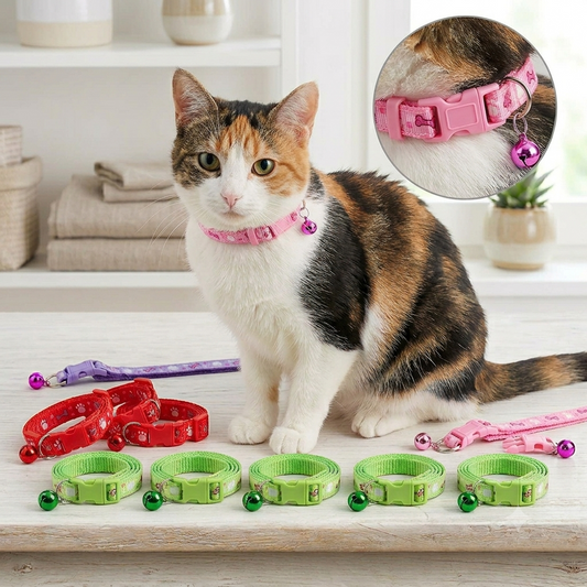 Kitty and Bone Design Cat Collar With Print