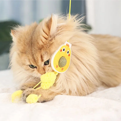 Hanging Catnip Toy for Kitten and Cats
