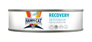 Happy Cat Vet Diet Recovery After Injury/Weight Loss
