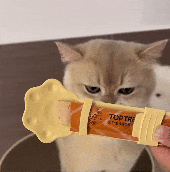 HappyCat Treat Spoon and Dispenser