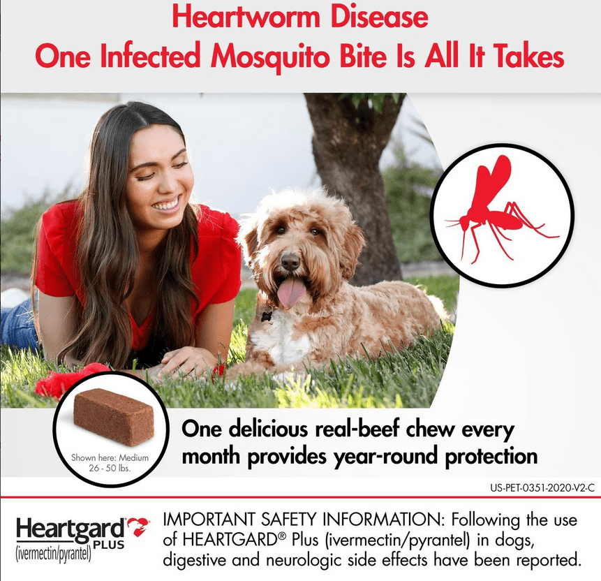 Heartgard Plus Chew for Dogs, 51-100 lbs * 1 Tablet