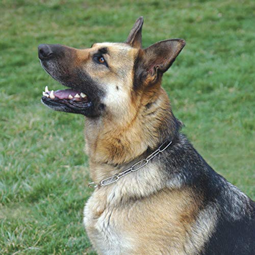 High Quality Long Link Choke Chain for GSD/Dog