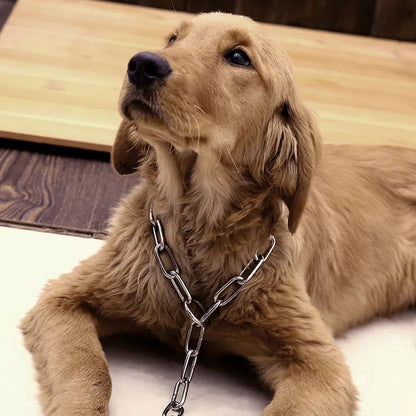 High Quality Long Link Choke Chain for GSD/Dog