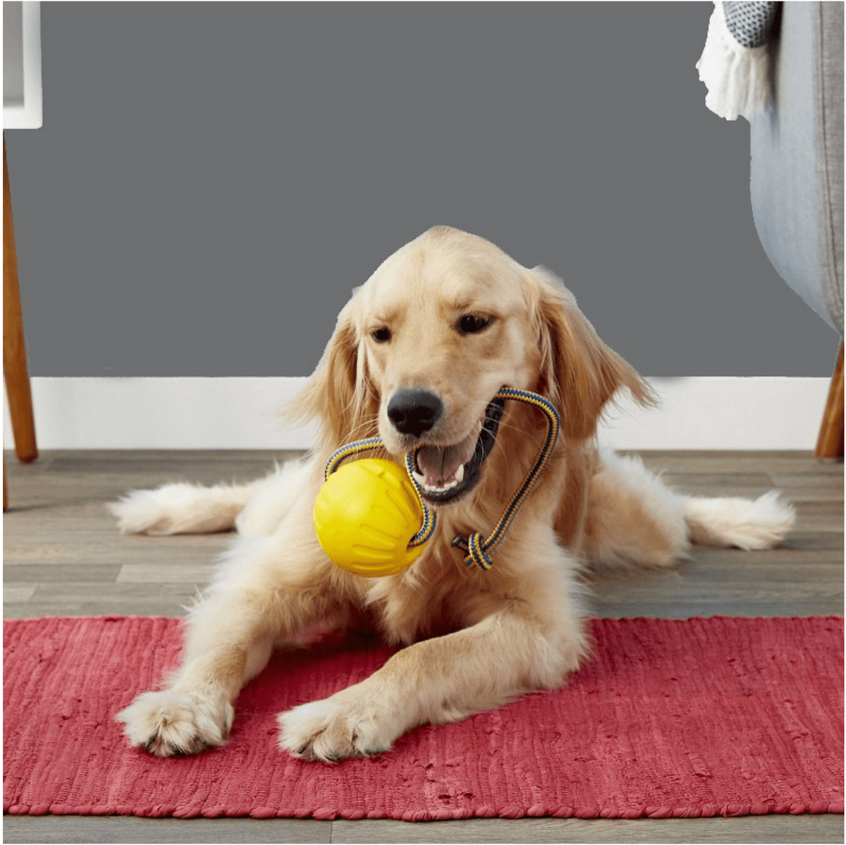 High Quality Tug Toy for Puppies and Dog Very Durable