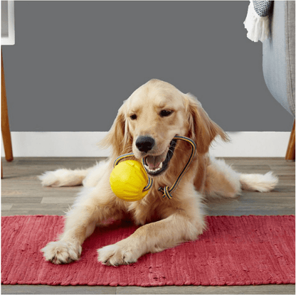 High Quality Tug Toy for Puppies and Dog Very Durable