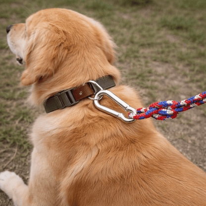 Hook For Dog Leash * 1