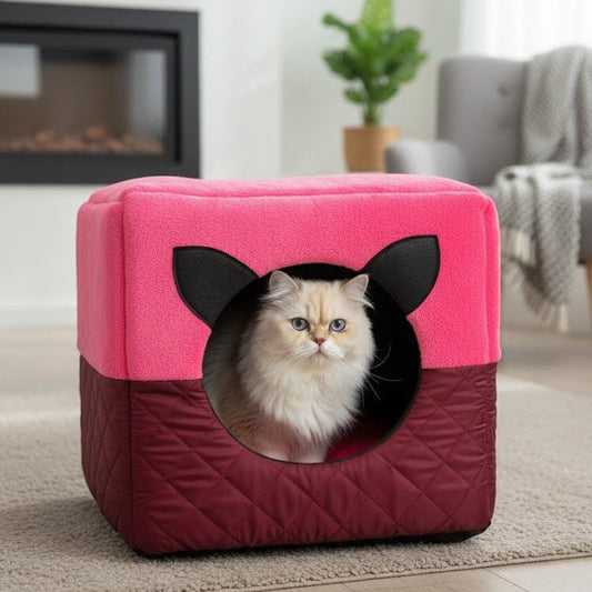 House in a Bed (House Cum Bed)