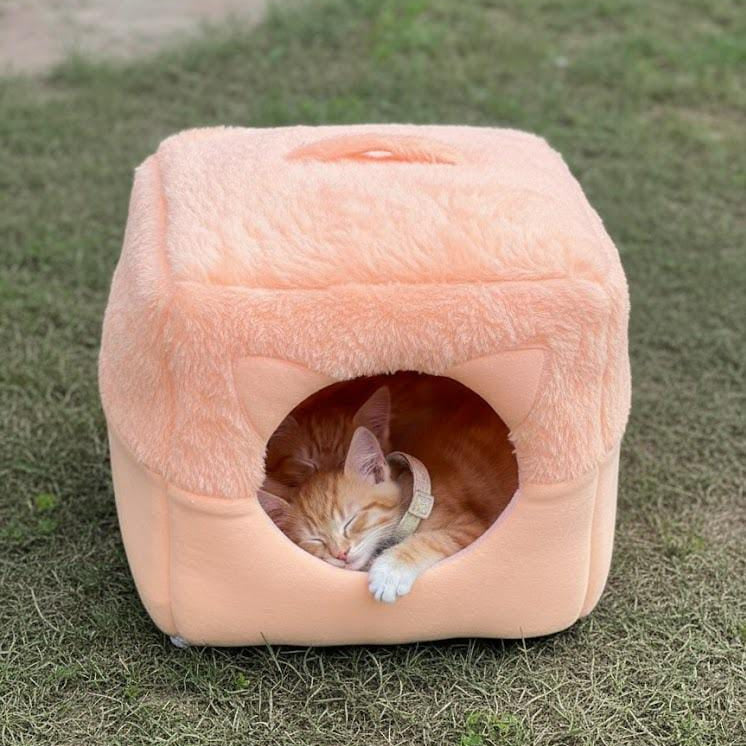 House in a Bed (House Cum Bed)
