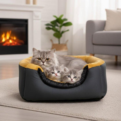 House in a Bed (House Cum Bed)