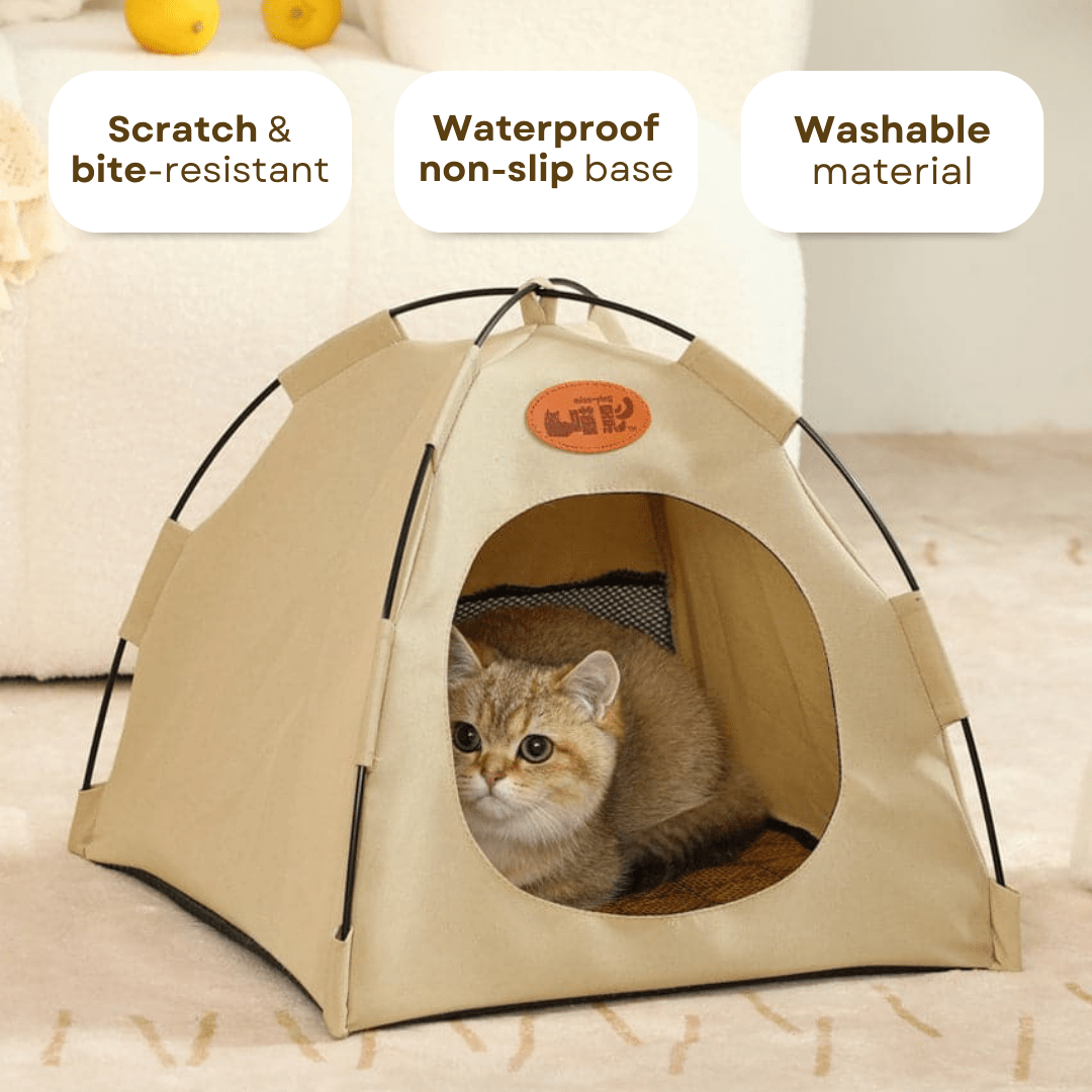 Airy Cat Tent for Summers