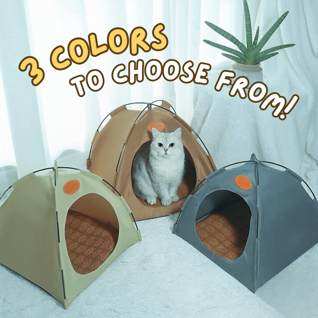 Airy Cat Tent for Summers