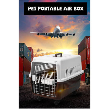 JetBox Airline Approved Pet Carrier Box with Free Delivery