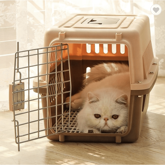 JetBox Airline Approved Pet Carrier Box with Free Delivery