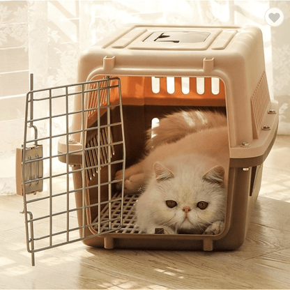 JetBox Airline Approved Pet Carrier Box with Free Delivery