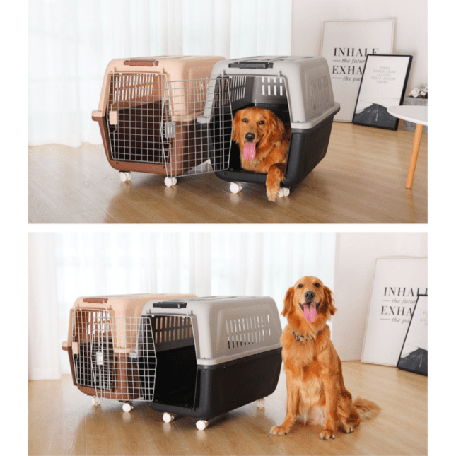 JetBox Airline Approved Pet Carrier Box with Free Delivery